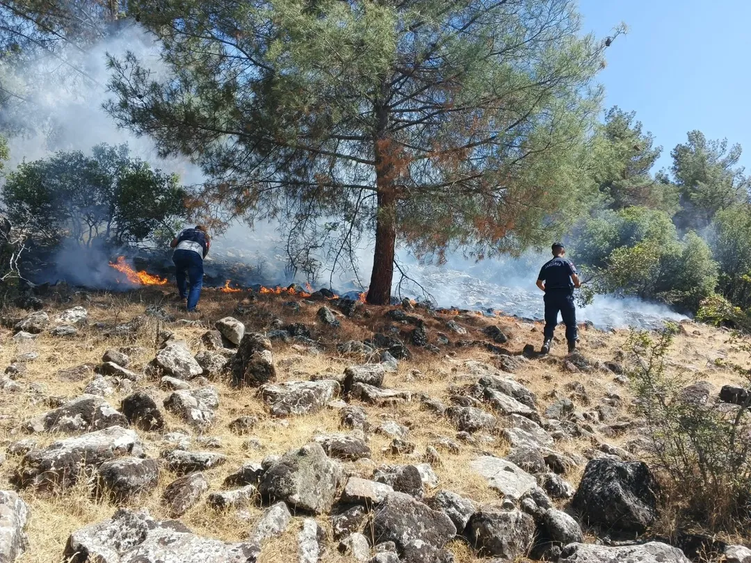Pazarcık’ta Orman Yangını: 2 Şüpheli Adli Kontrolle Serbest Bırakıldı