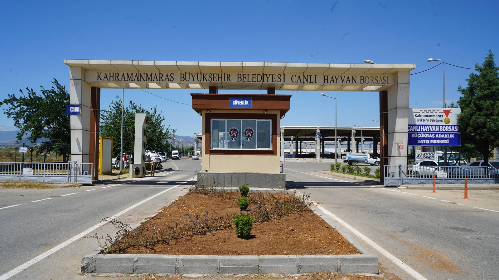Son dakika