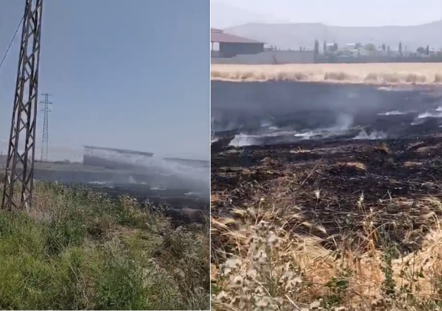 Elbistan'da Buğday Tarlasında Yangın Paniği